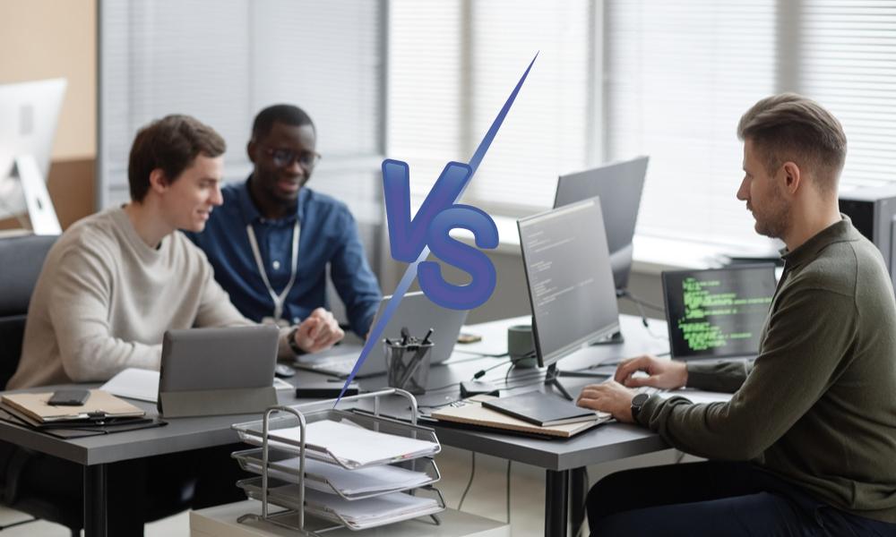 Developer vs Software Engineer